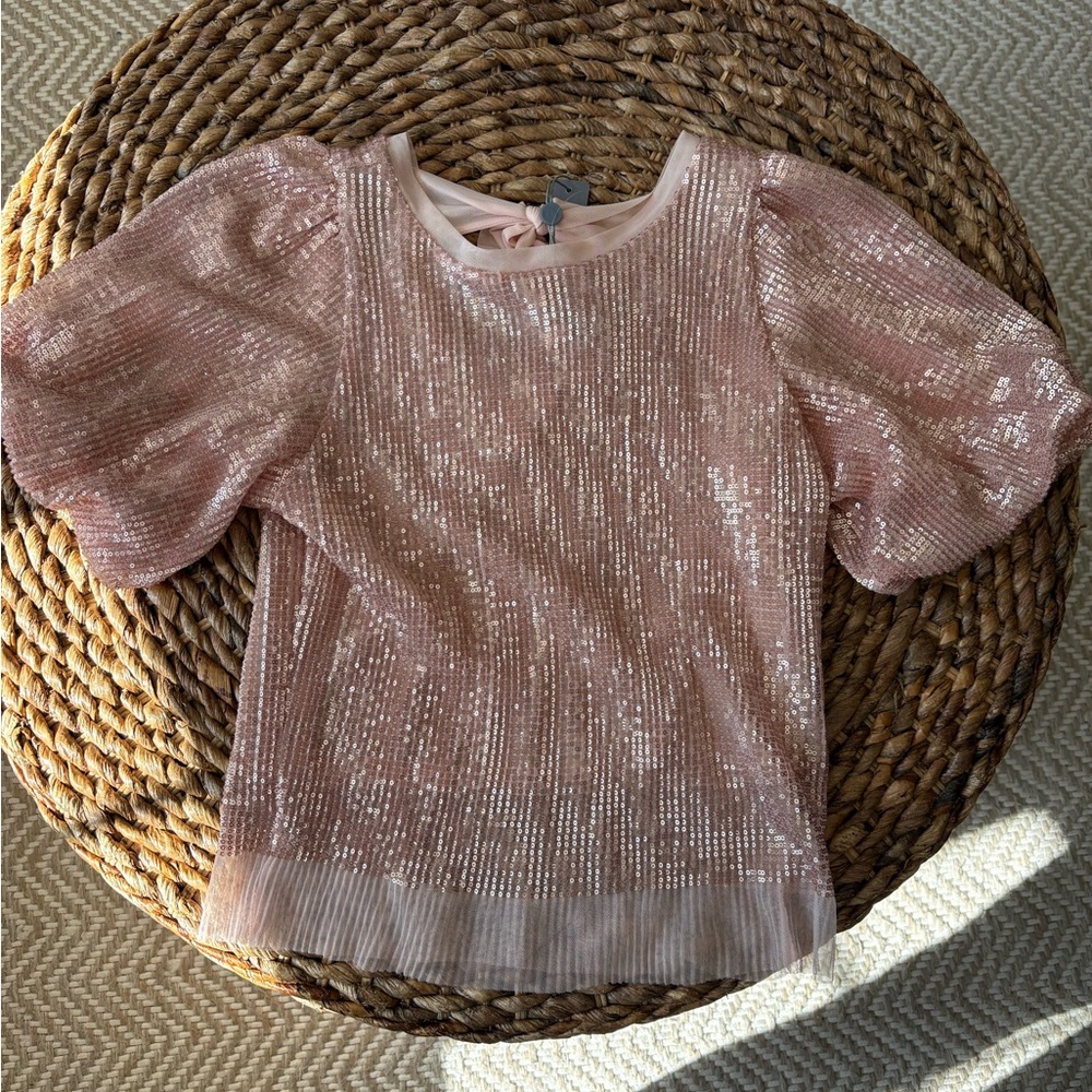Pink Sequin Puff Sleeve Top